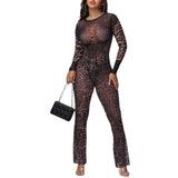 Wild Intensions Mesh Set